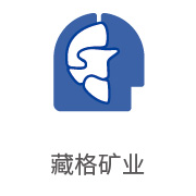 合乐HL8合作伙伴：藏格矿业